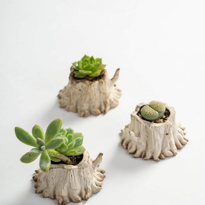 Mini Tree Stump Ceramic Succulent Planter