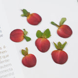 Load image into Gallery viewer, Real Dried Pressed Mini Red Apples