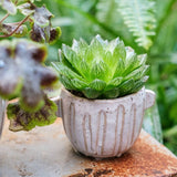 Load image into Gallery viewer, Ribbed Earthy Coffee Cup Ceramic Planter