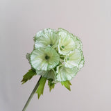 Load image into Gallery viewer, Artificial Scabiosa Pods Flower Stem (8cmDx65cmH)