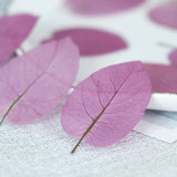 Load image into Gallery viewer, 50 Pcs Dried Pressed Pink Leaves for Crafts