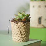 Load image into Gallery viewer, Chocolate Cone Ceramic Succulent Pot