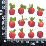 Load image into Gallery viewer, Real Dried Pressed Mini Red Apples