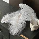 Load image into Gallery viewer, 35cm Ostrich Feather Bouquet Decor Pack 10