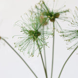Load image into Gallery viewer, Realstic Artificial Papyrus Stem (80cm)