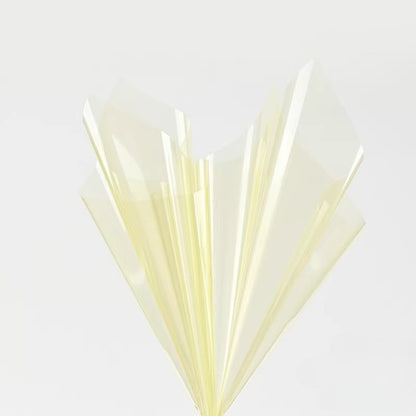 20pcs Colored Clear Cellophane Wrap Sheet (58x58cm)