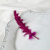 Load image into Gallery viewer, Colorful Decorative Feathers for Crafts