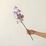 Load image into Gallery viewer, 24" Real Touch Purple Vanda Orchid Stem