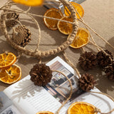 Load image into Gallery viewer, Dried Orange Slices Pinecones Nature Wind Chime