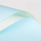 Load image into Gallery viewer, 20pcs Two-tone Waterproof Bouquet Paper (58x58cm)
