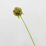Load image into Gallery viewer, 26" Silk Scabiosa Starflower Pod Stem