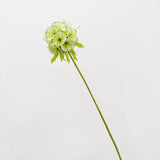 Load image into Gallery viewer, 26" Silk Scabiosa Starflower Pod Stem