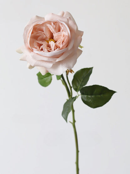 26" Real Touch Notting Hill Rose Stem