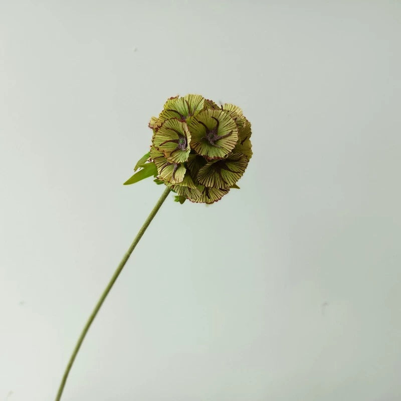 26" Silk Scabiosa Starflower Pod Stem