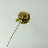 Load image into Gallery viewer, 26" Silk Scabiosa Starflower Pod Stem