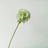 Load image into Gallery viewer, 26" Silk Scabiosa Starflower Pod Stem