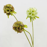 Load image into Gallery viewer, 26" Silk Scabiosa Starflower Pod Stem