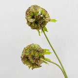 Load image into Gallery viewer, 26" Silk Scabiosa Starflower Pod Stem