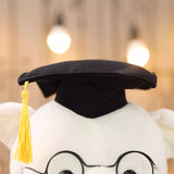 Load image into Gallery viewer, Graduation Teddy Bear Plush 23cm