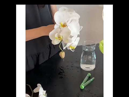 10 tubes à fleurs allongés avec tiges de fixation