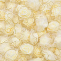 tulle-champagne