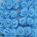 F08 bleu