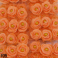 F09 orange