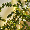 Vert