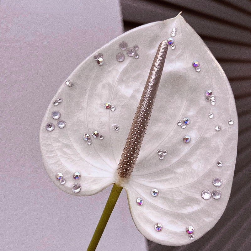 Self-adhesive Flat Rhinestones for Flowers
