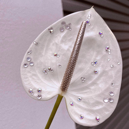 Self-adhesive Flat Rhinestones for Flowers