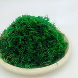 Load image into Gallery viewer, green preserved moss bulk 