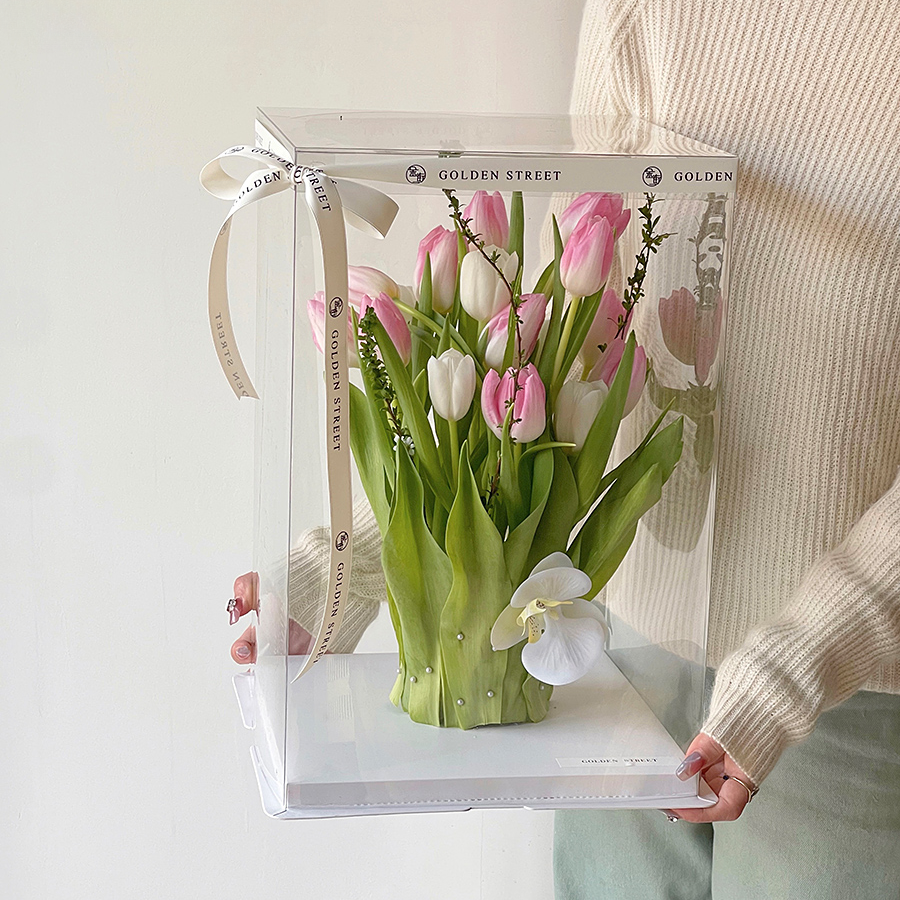 Transparent Rectangular Tall Box Pack 5