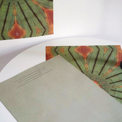 Kaleidoscope Floral Wrap Paper Pack 20 (33x52cm)