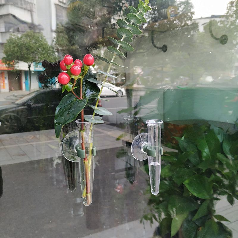 Tubes à eau pour fleurs avec ventouse transparents (8 pièces)