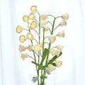 5pcs