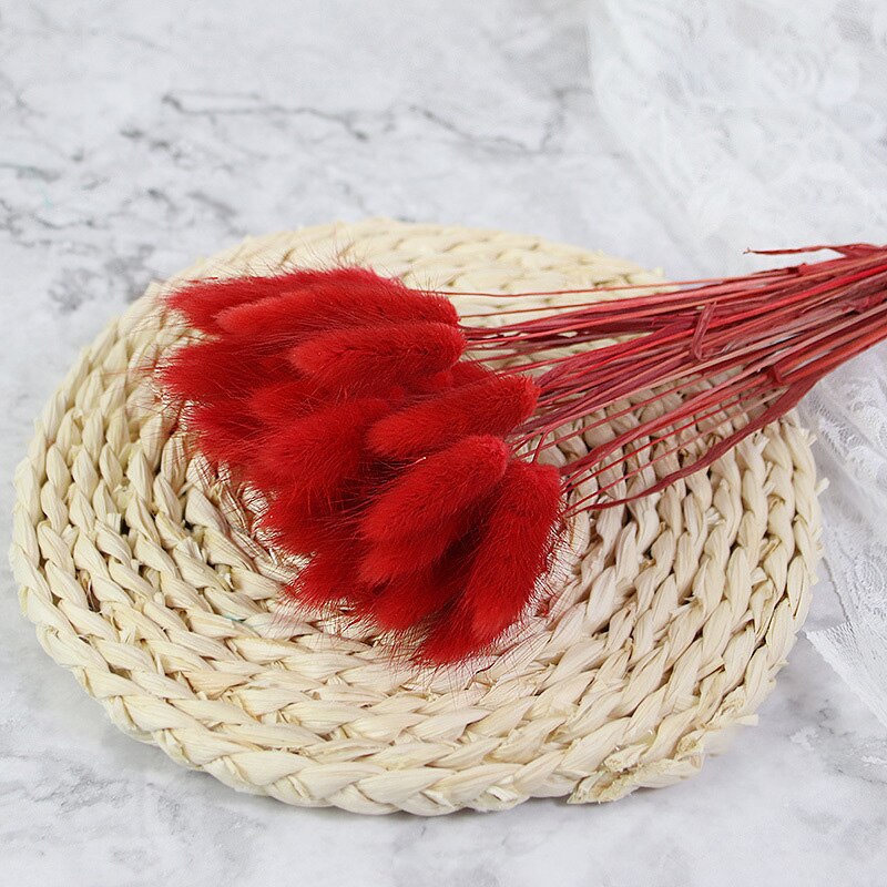 60pcs Natural Dried Bunny Rabbit Grass – Floral Supplies Store