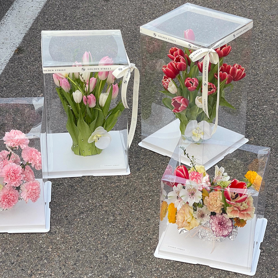 Transparent Rectangular Tall Box Pack 5