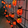 Guirlande lumineuse coccinelles