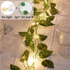 5m light with leaf B