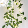 5m light with leaf A