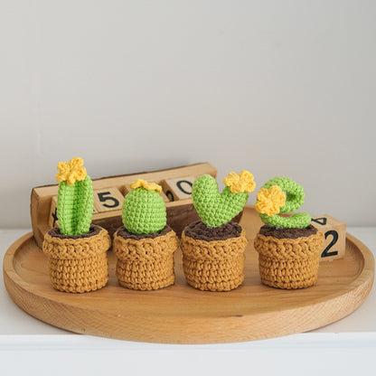 Finished Crocheted LOVE Potted Cactus Plants