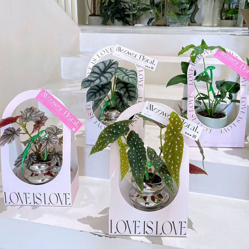 5pcs Handheld Floral Arrangement Gift Box