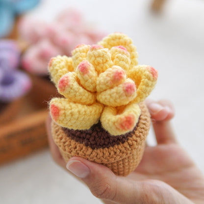 Crocheted Small Potted Succulent Plants