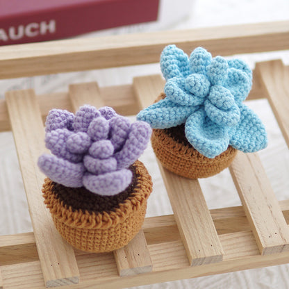 Crocheted Small Potted Succulent Plants
