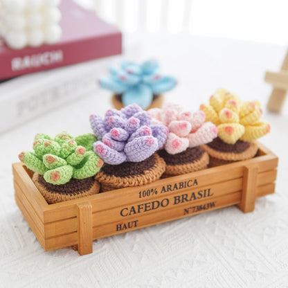 Crocheted Small Potted Succulent Plants
