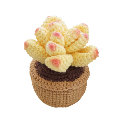 Crocheted Small Potted Succulent Plants