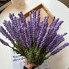 10pcs