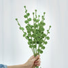 10pcs  33cm