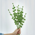 10pcs  33cm