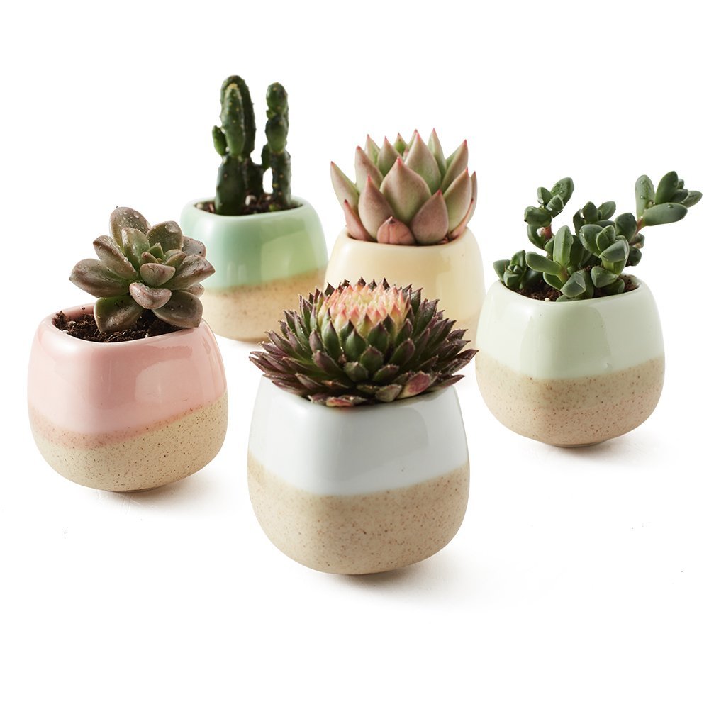 succulent plant pot set SUN-E 5 in Set 2.2 Inch Container Planter Ceramic Flowing Glaze Five Color Base Serial Set Succulent Plant Pot Cactus Plant
